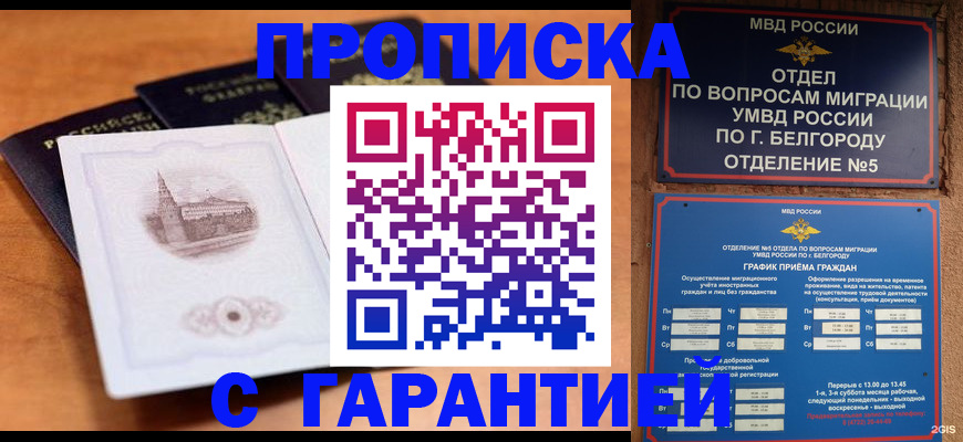 прописка поиск в Жукове